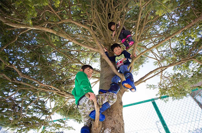 木登りをしている子どもたちの写真